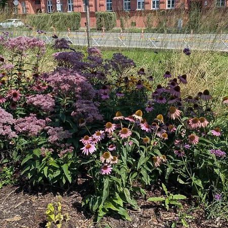 Malt & Monarch Apartamento