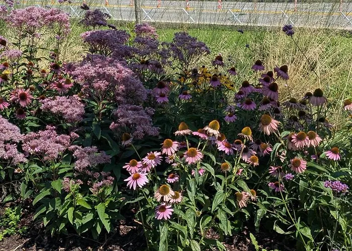 Malt & Monarch Lejlighed